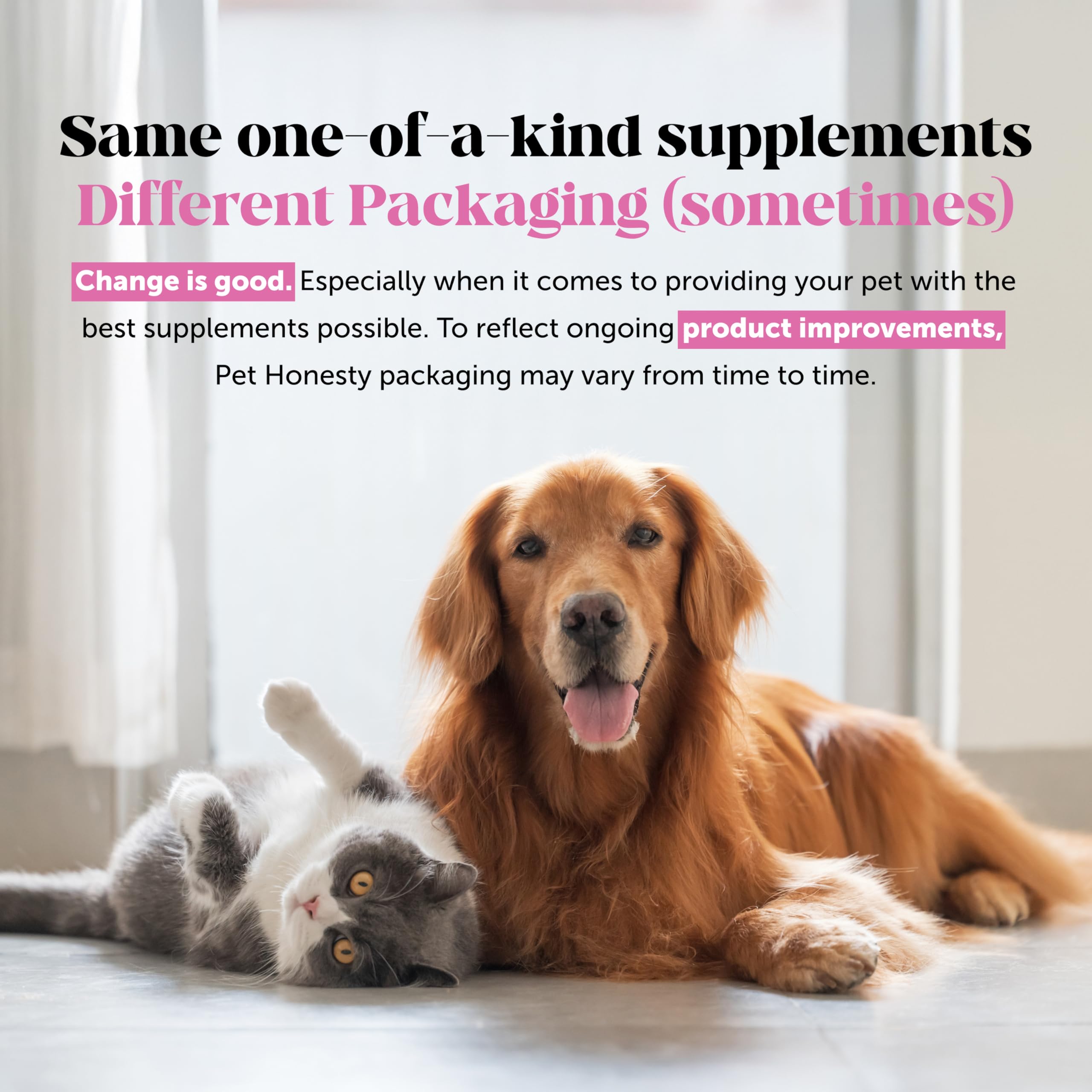 Pet Honesty dog vitamin bottle close-up emphasizes comprehensive nutrition.