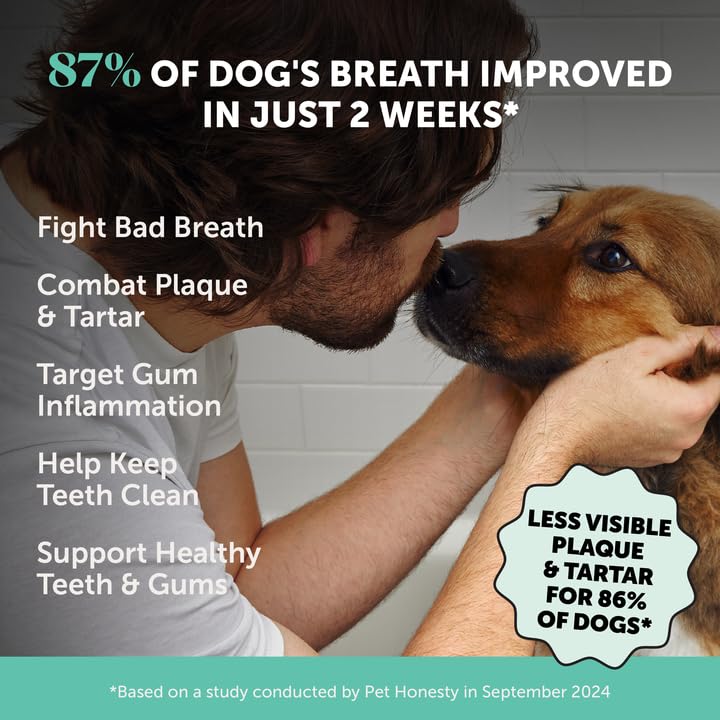 Pet Honesty large-dog dental powder being poured for convenient daily use
