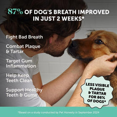 Pet Honesty large-dog dental powder being poured for convenient daily use