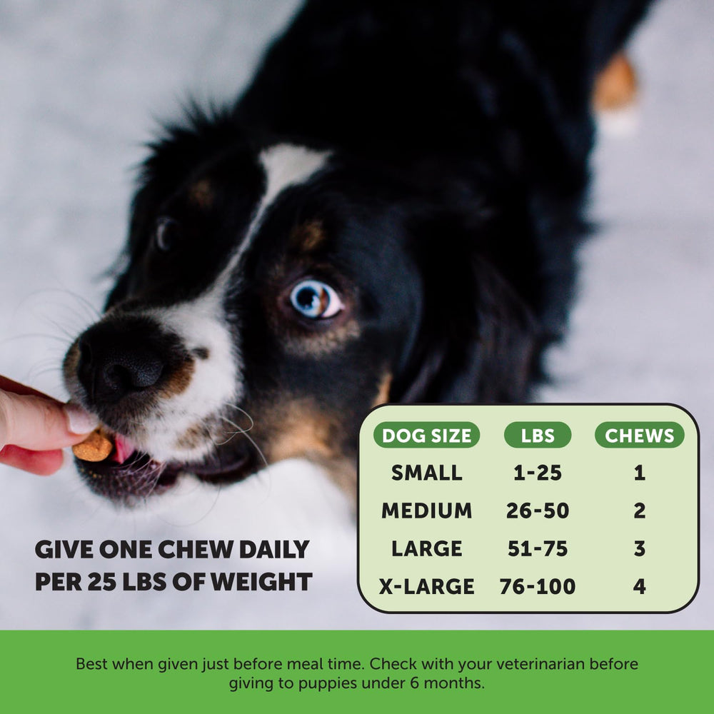 Pet Honesty marshmallow root feature image conveys herbal urinary support.