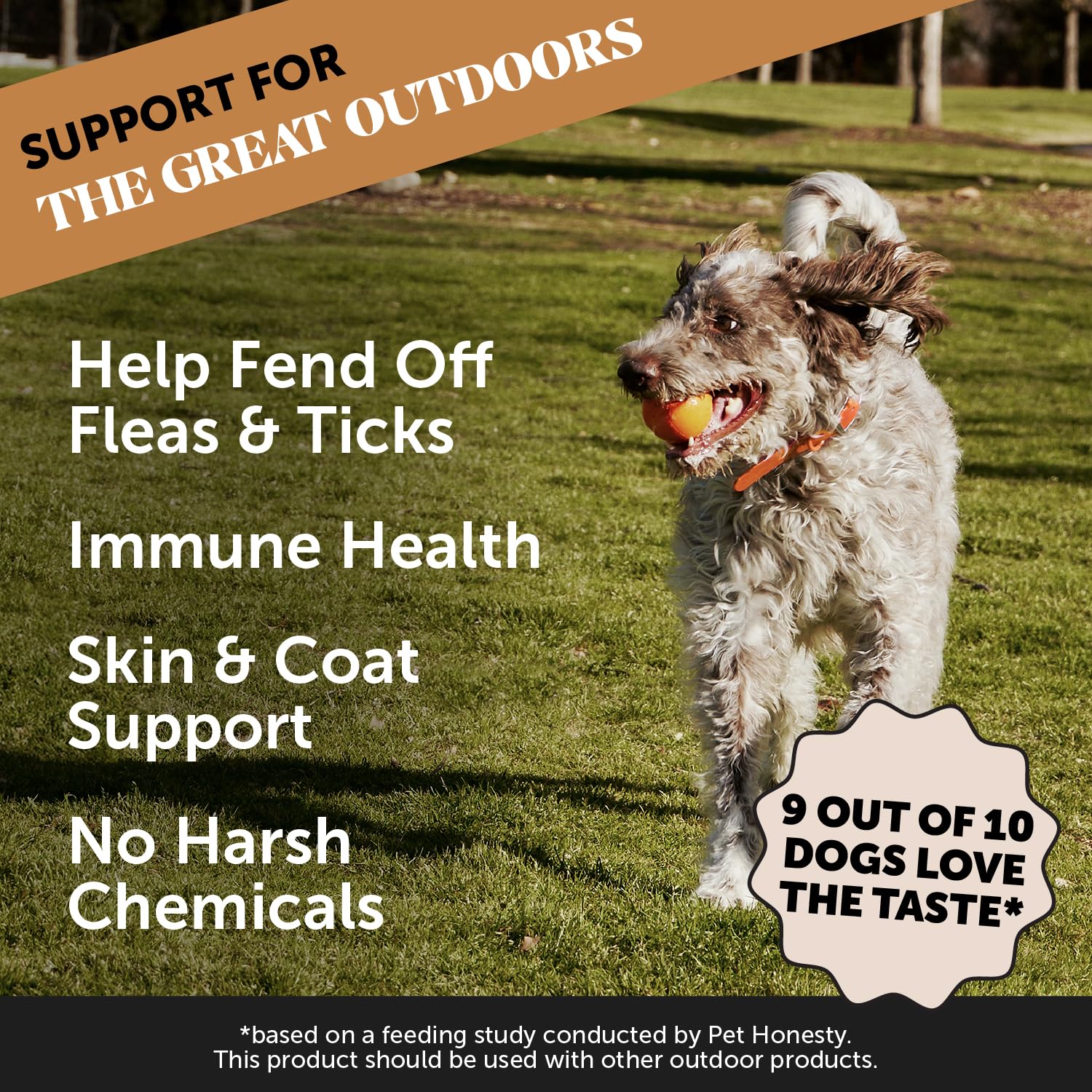 Pet Honesty natural ingredients label illustrates clean, dog-friendly formula