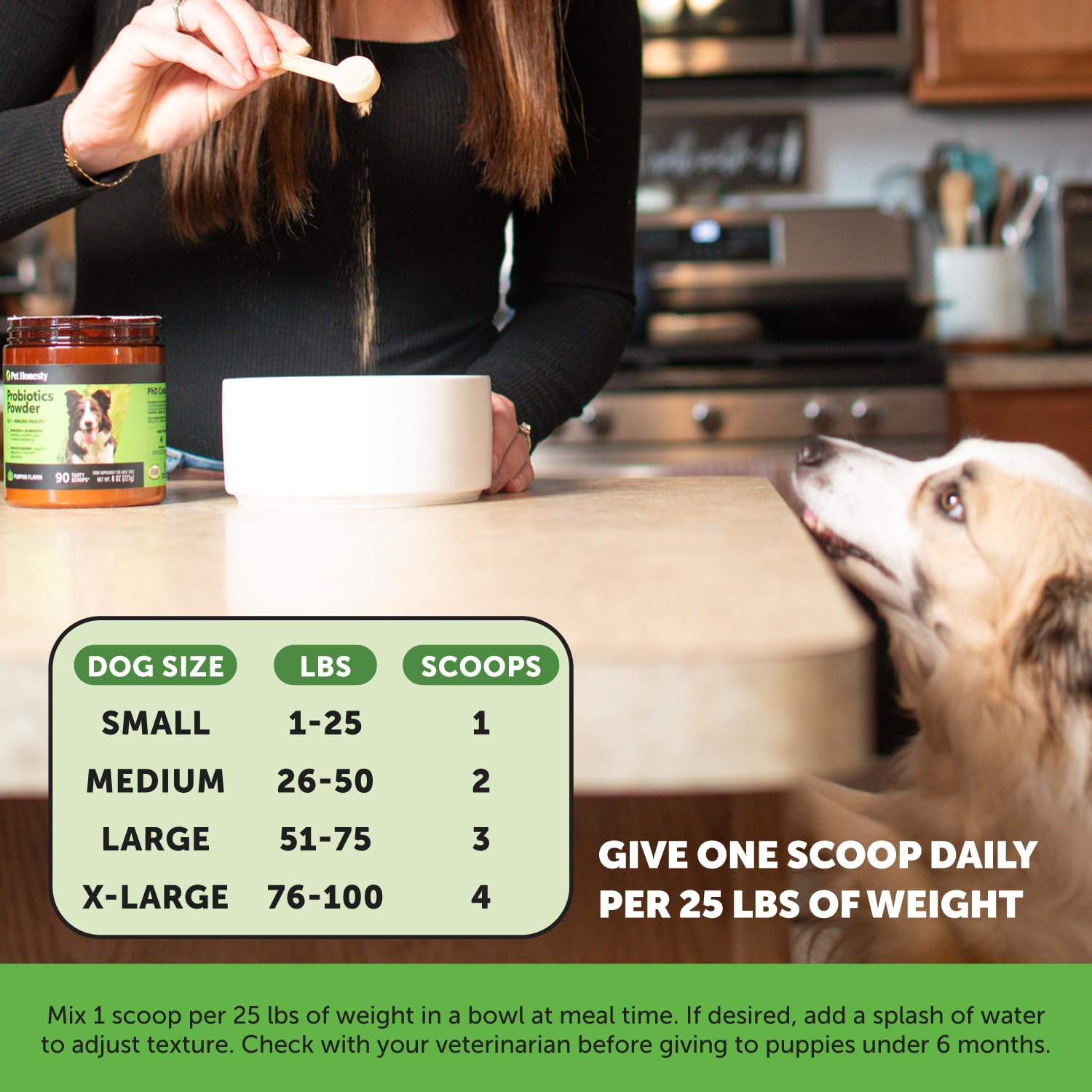 Pet Honesty natural ingredients pumpkin probiotics scene illustrating gut-friendly nutrition.