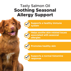 Pet Honesty omega-3 dog salmon oil cap closeup highlighting skin health benefits.
