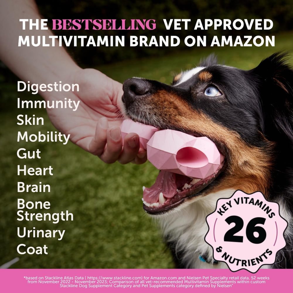 Pet Honesty omega-3 fish oil bottle highlights heart, skin, and coat support.