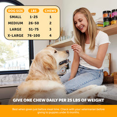 Pet Honesty omega-fatty-acids dog coat-shine image highlights healthy fur.