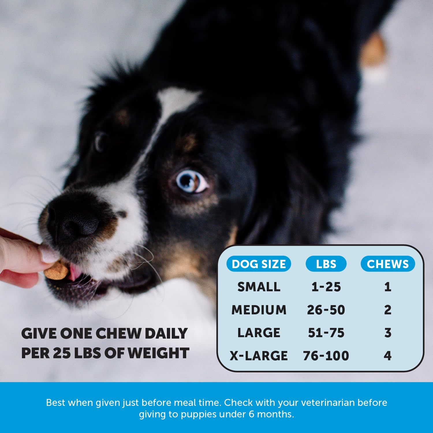 Pet Honesty Omega Skin Health chews in bowl ready for daily care