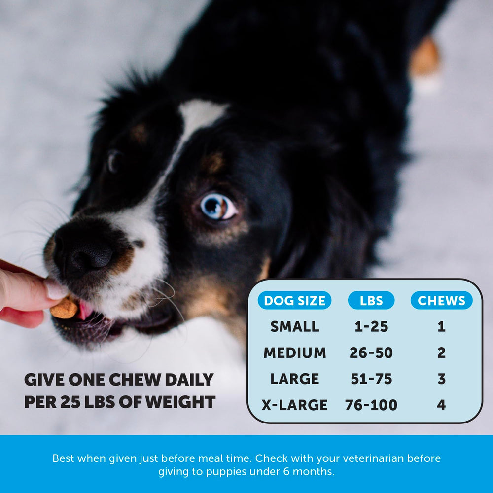 Pet Honesty Omega Skin Health chews in bowl ready for daily care