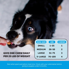 Pet Honesty Omega Skin Health chews in bowl ready for daily care