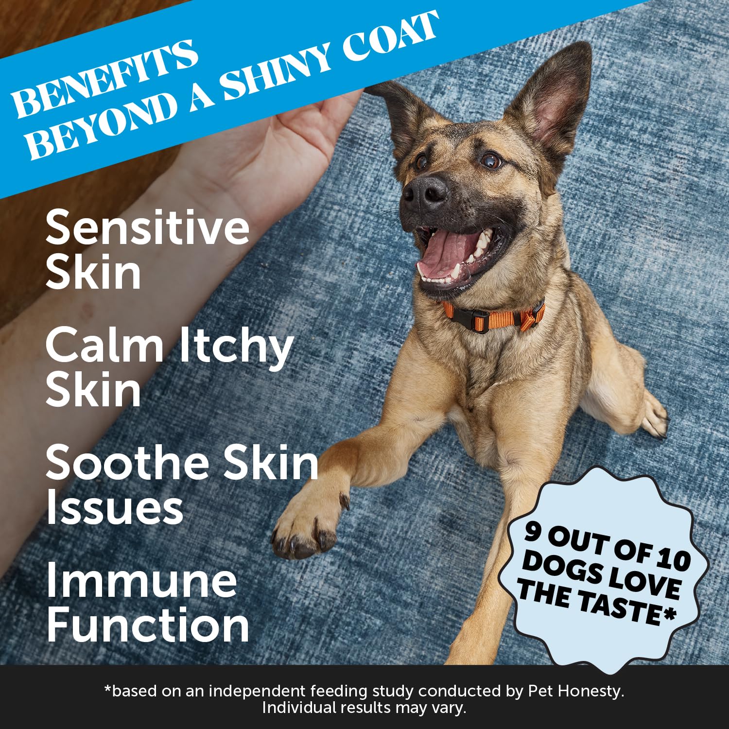 Pet Honesty Omega Skin Health chews dog treat with delicious salmon flavor
