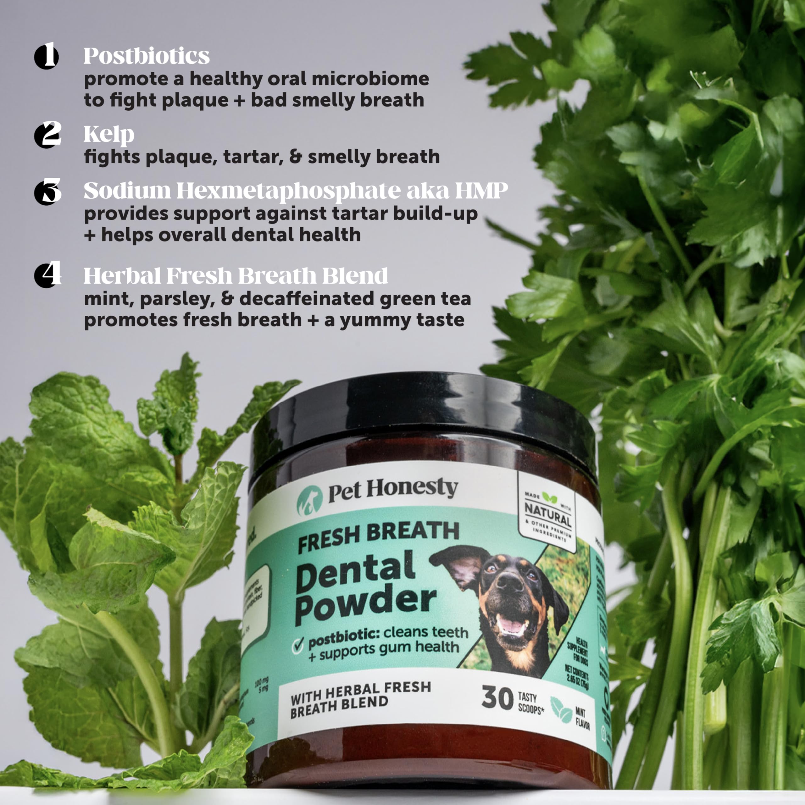 Pet Honesty postbiotics support and natural ingredients for oral wellness