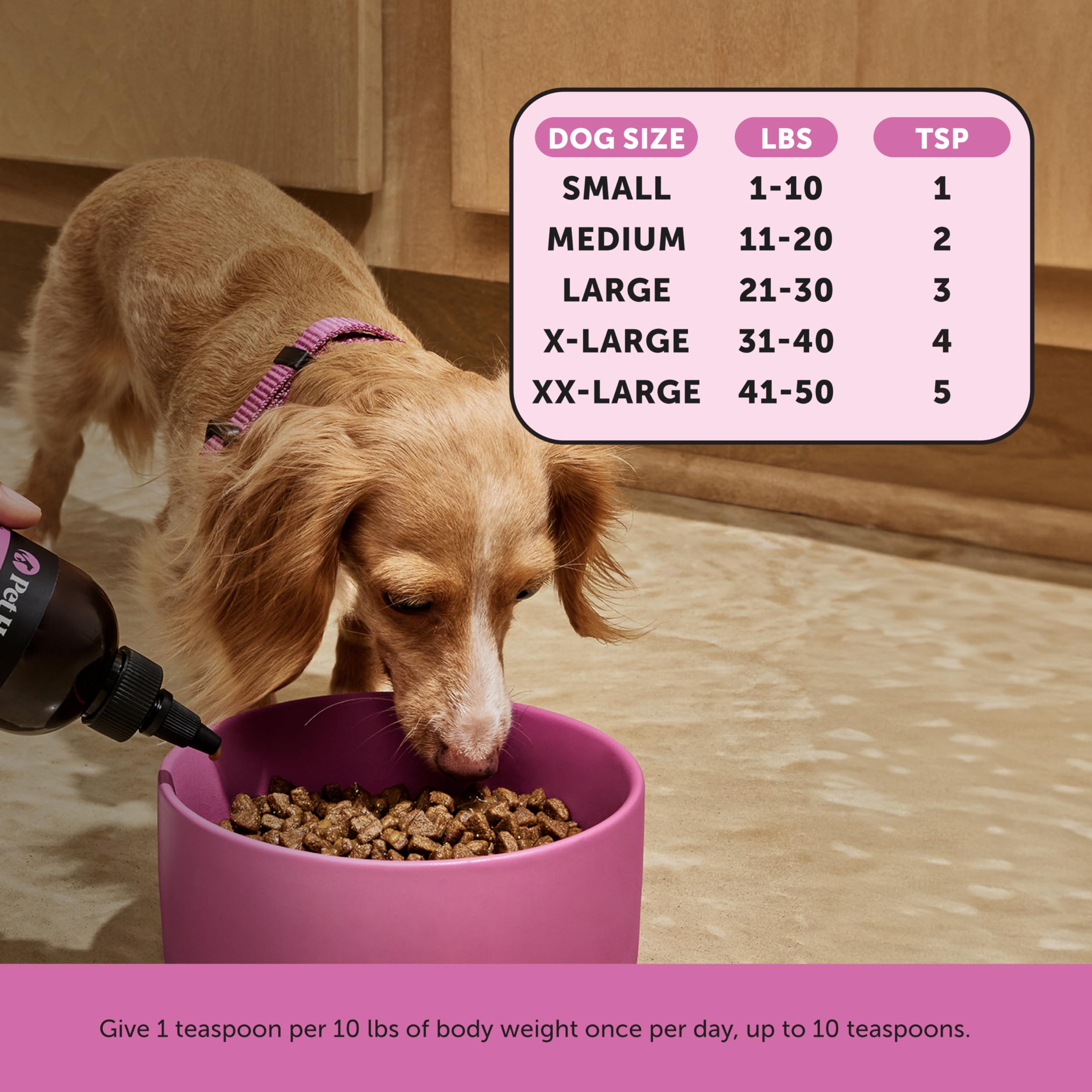 Pet Honesty prebiotics and postbiotics support gut balance and immune wellness.