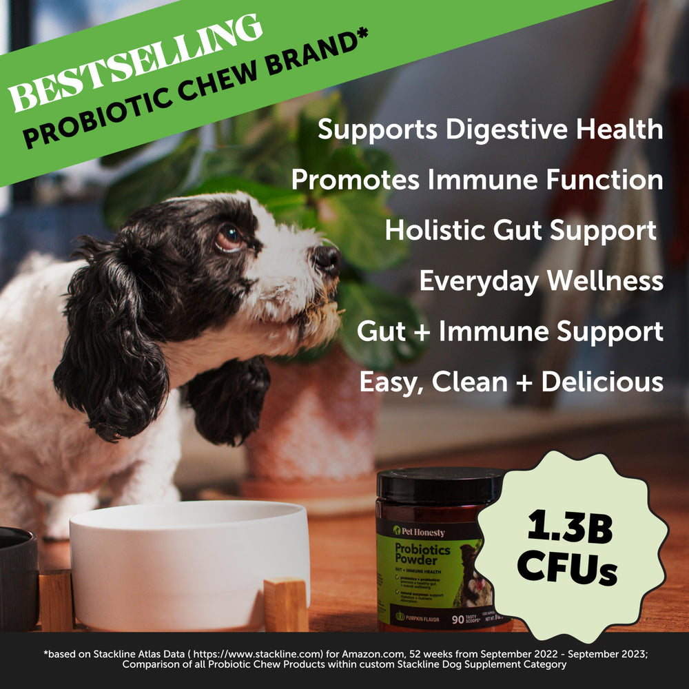 Pet Honesty probiotic pumpkin powder dog bowl scene showing meal-time digestion-friendly topping.