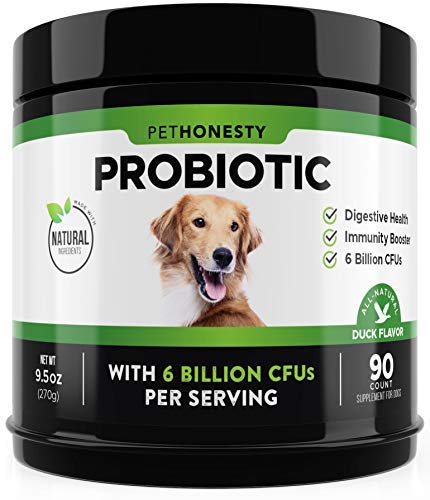 Pet Honesty Probiotics for Dogs duck bottle supports gut health and immune balance