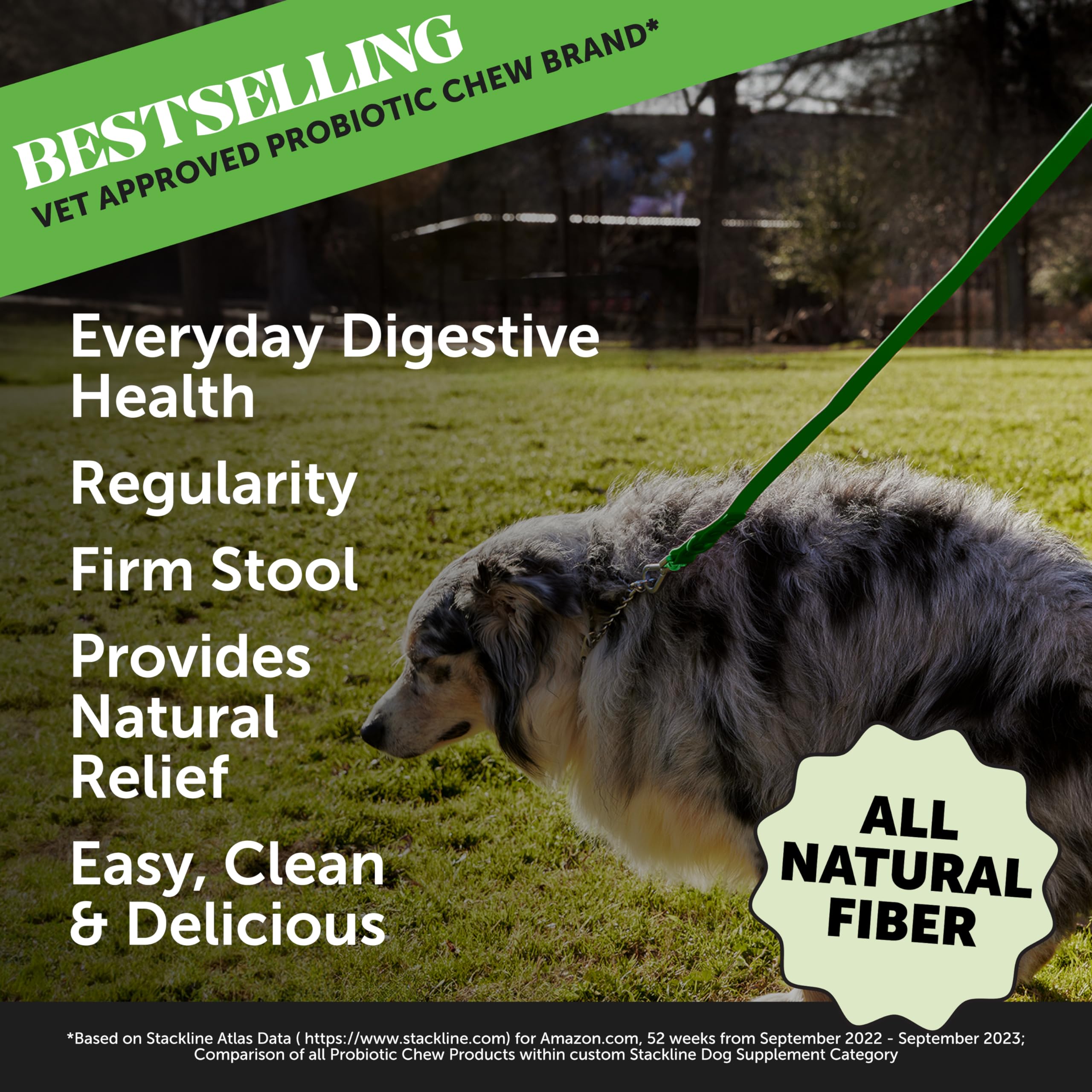 Pet Honesty measuring scoop with pumpkin fiber powder for easy dosing