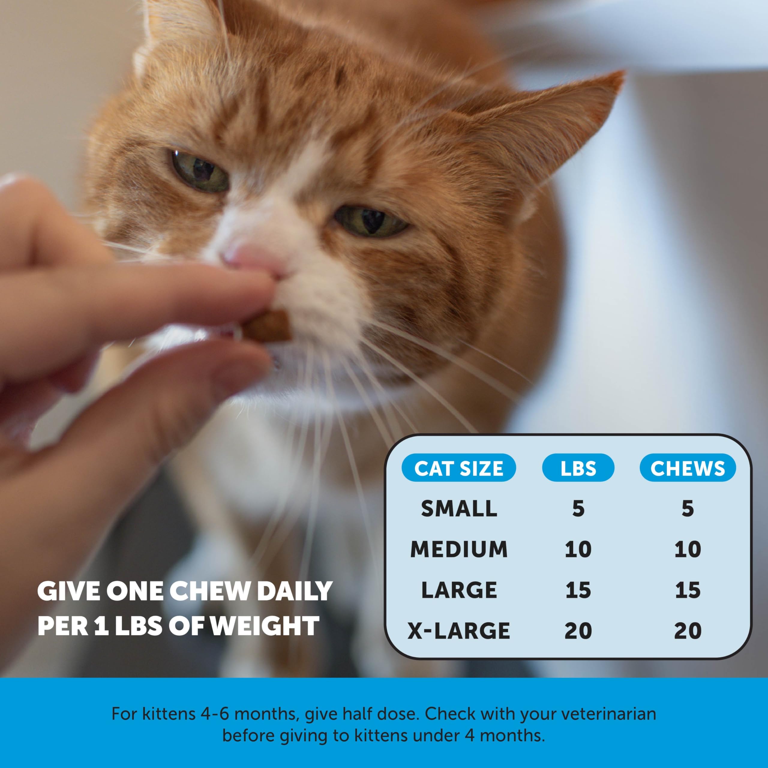 Pet Honesty sabor crujiente-para gatos exigentes