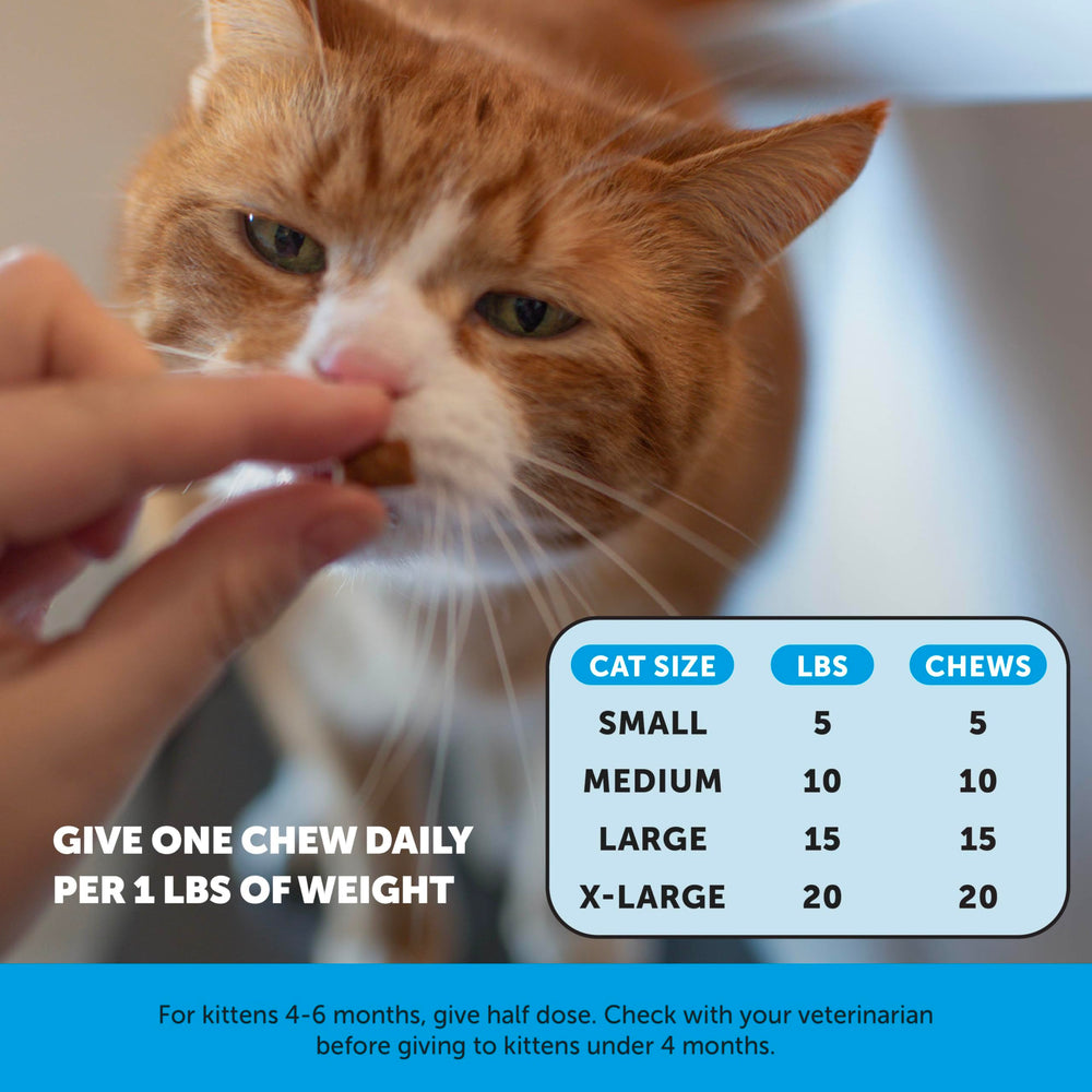 Pet Honesty sabor crujiente-para gatos exigentes