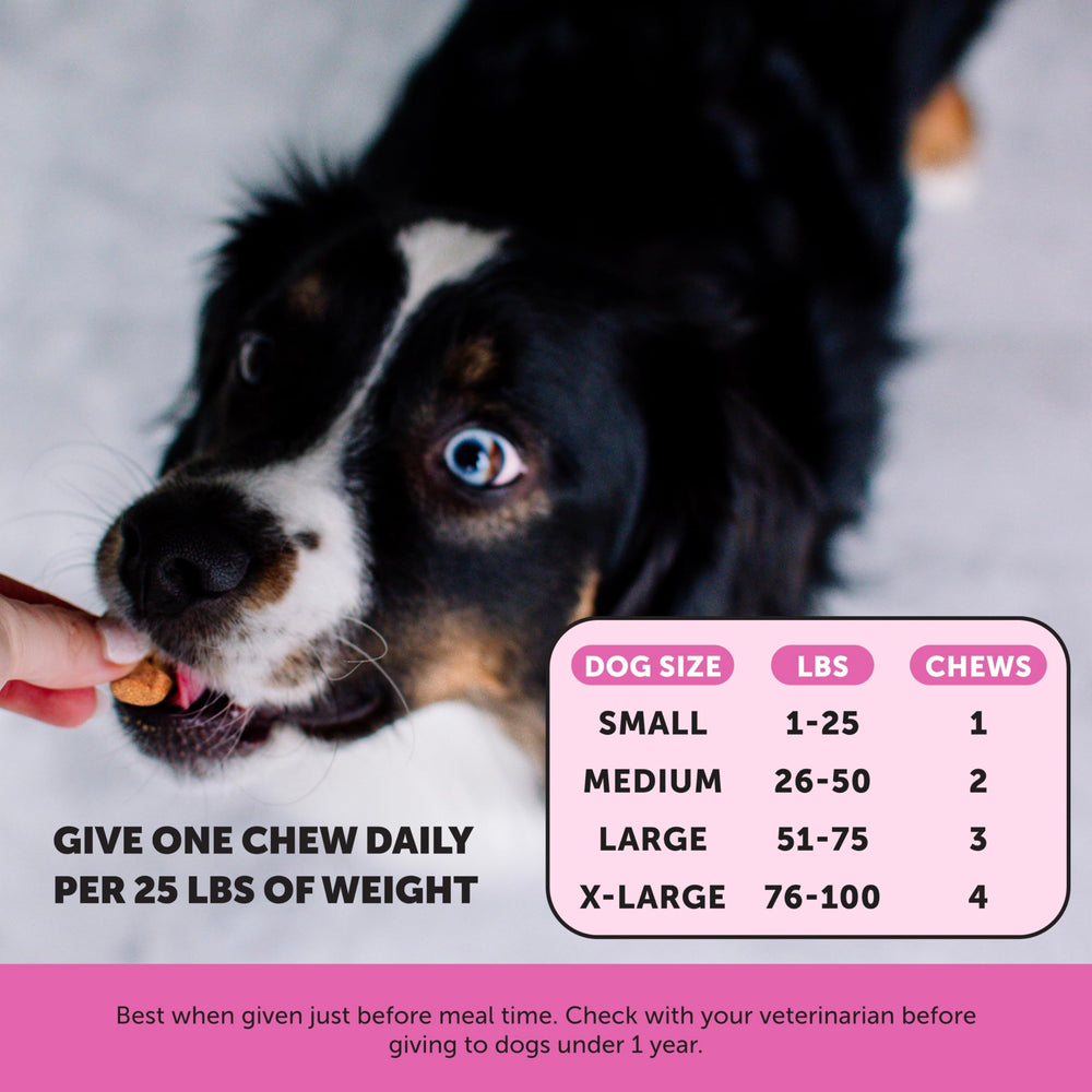 Pet Honesty probiotics 1B CFU helps digestion and nutrient absorption