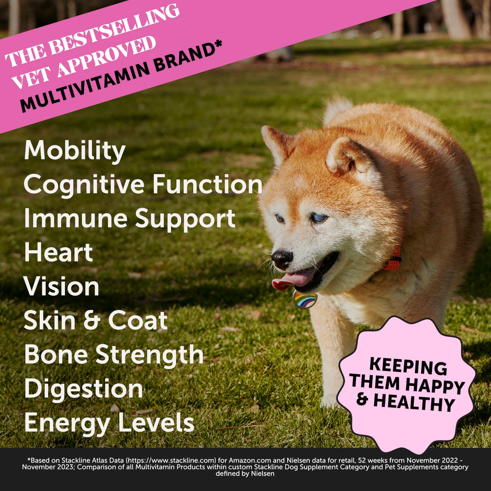 Pet Honesty senior multivitamin soft chews closeup tasty daily support