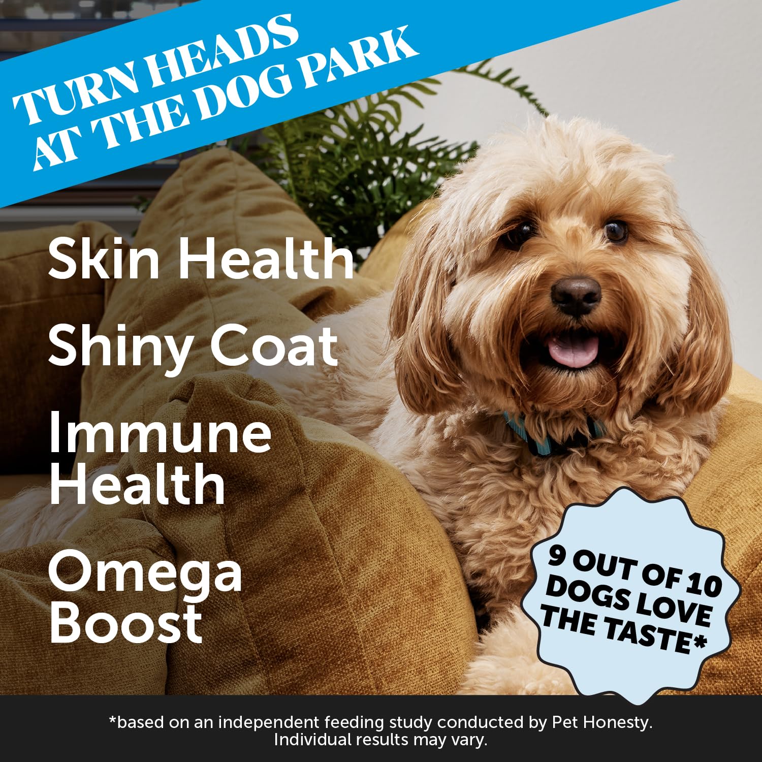 Pet Honesty Skin Health Salmon Chews tub label shows natural ingredients for healthy skin