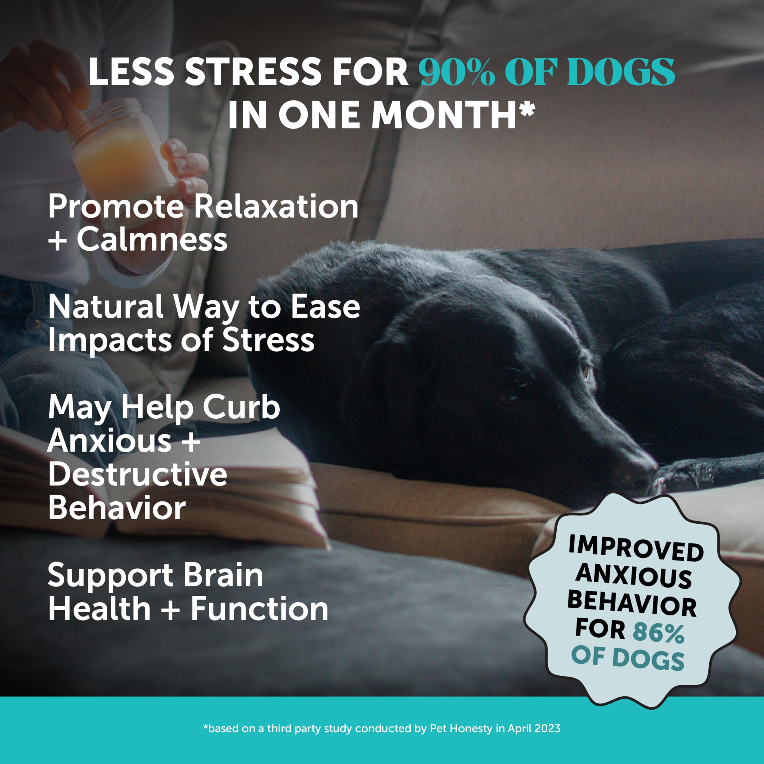 Pet Honesty soft chews close-up showing tasty texture ideal for stress relief.