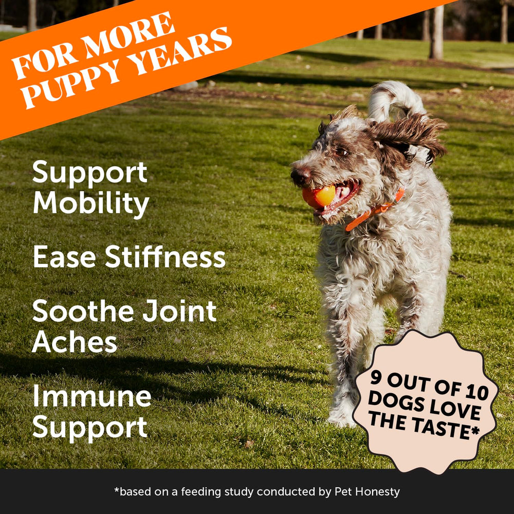 Closeup of turmeric-curcumin ingredients in Pet Honesty formula for daily mobility