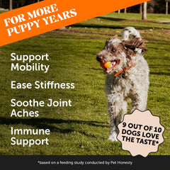 Closeup of turmeric-curcumin ingredients in Pet Honesty formula for daily mobility