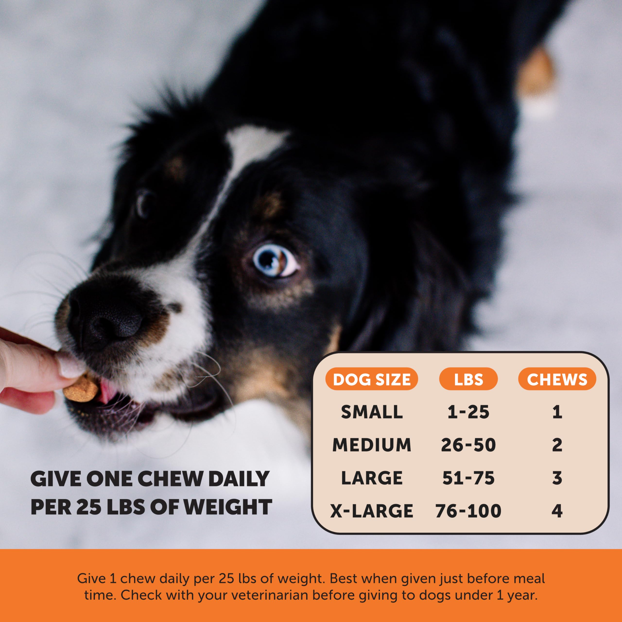 Pet Honesty turmeric msm dog chews package emphasizes flexible movement