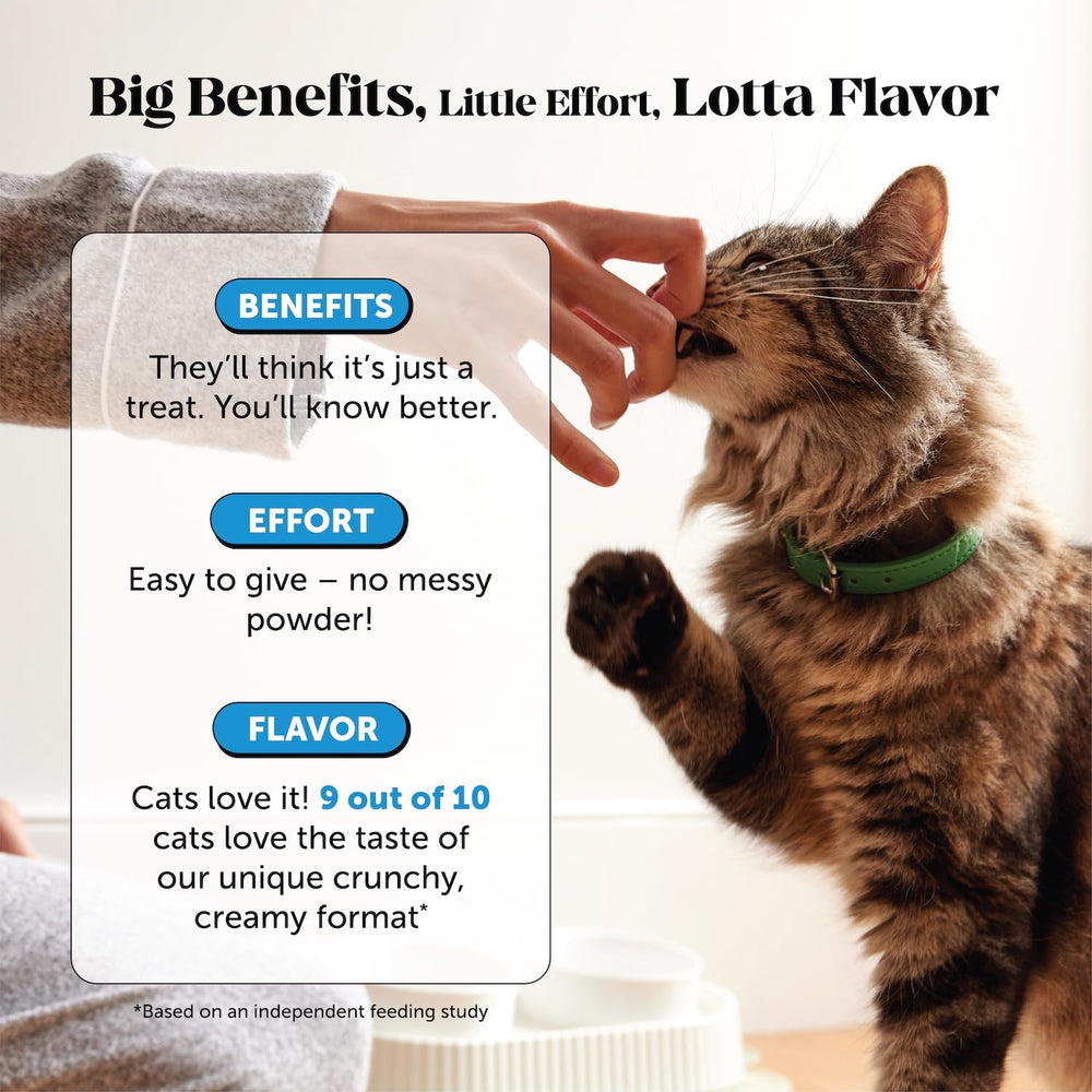 Pet Honesty vitaminas C y E, apoyo para el pelaje
