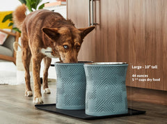 Pet Junkie Santa Fe removable 44oz bowl demonstrates easy cleaning and water or food use