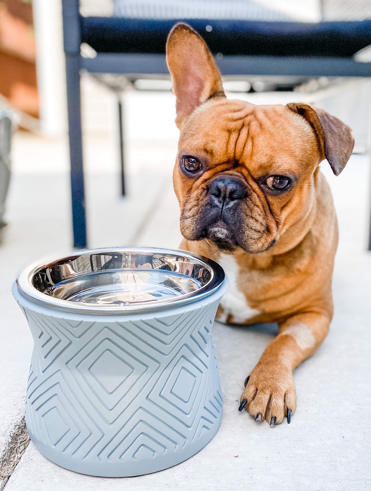 Pet Junkie Santa Fe stand with removable stainless steel inner bowl