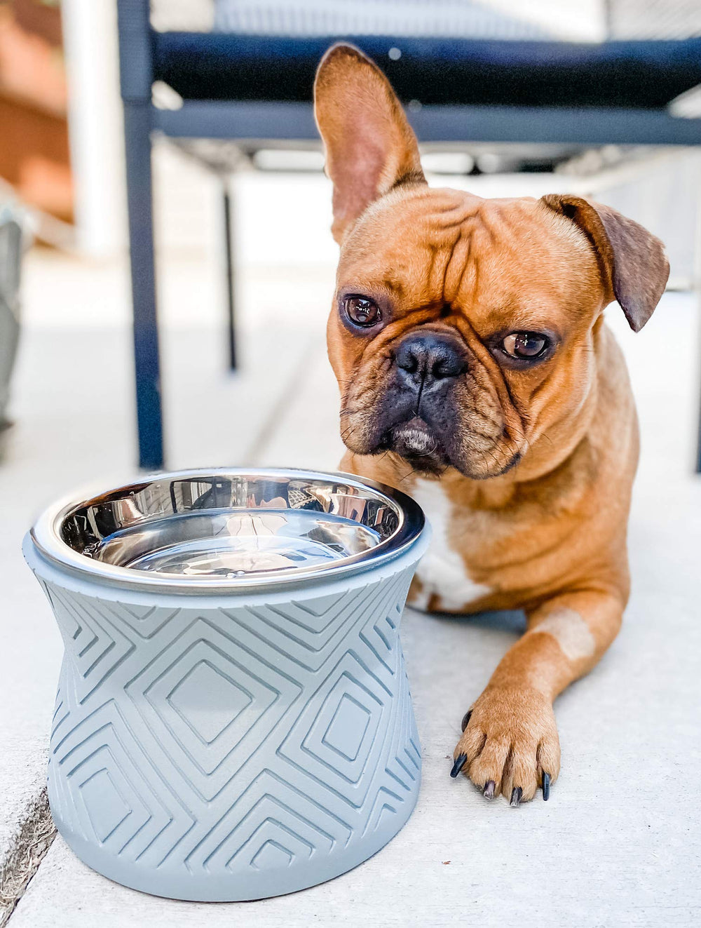 Pet Junkie Santa Fe stand with removable stainless steel inner bowl
