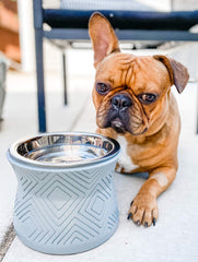 Pet Junkie Santa Fe stand with removable stainless steel inner bowl