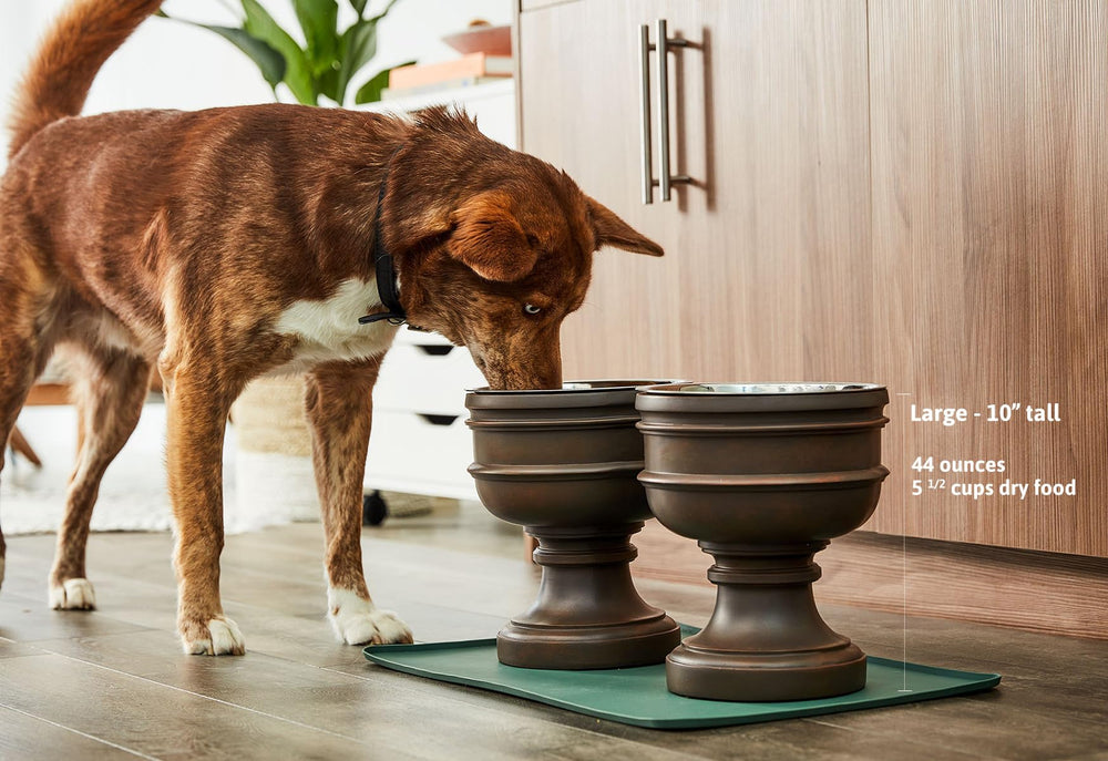 Pet Junkie Summit anti-tip base close-up demonstrates stable feeding and safety