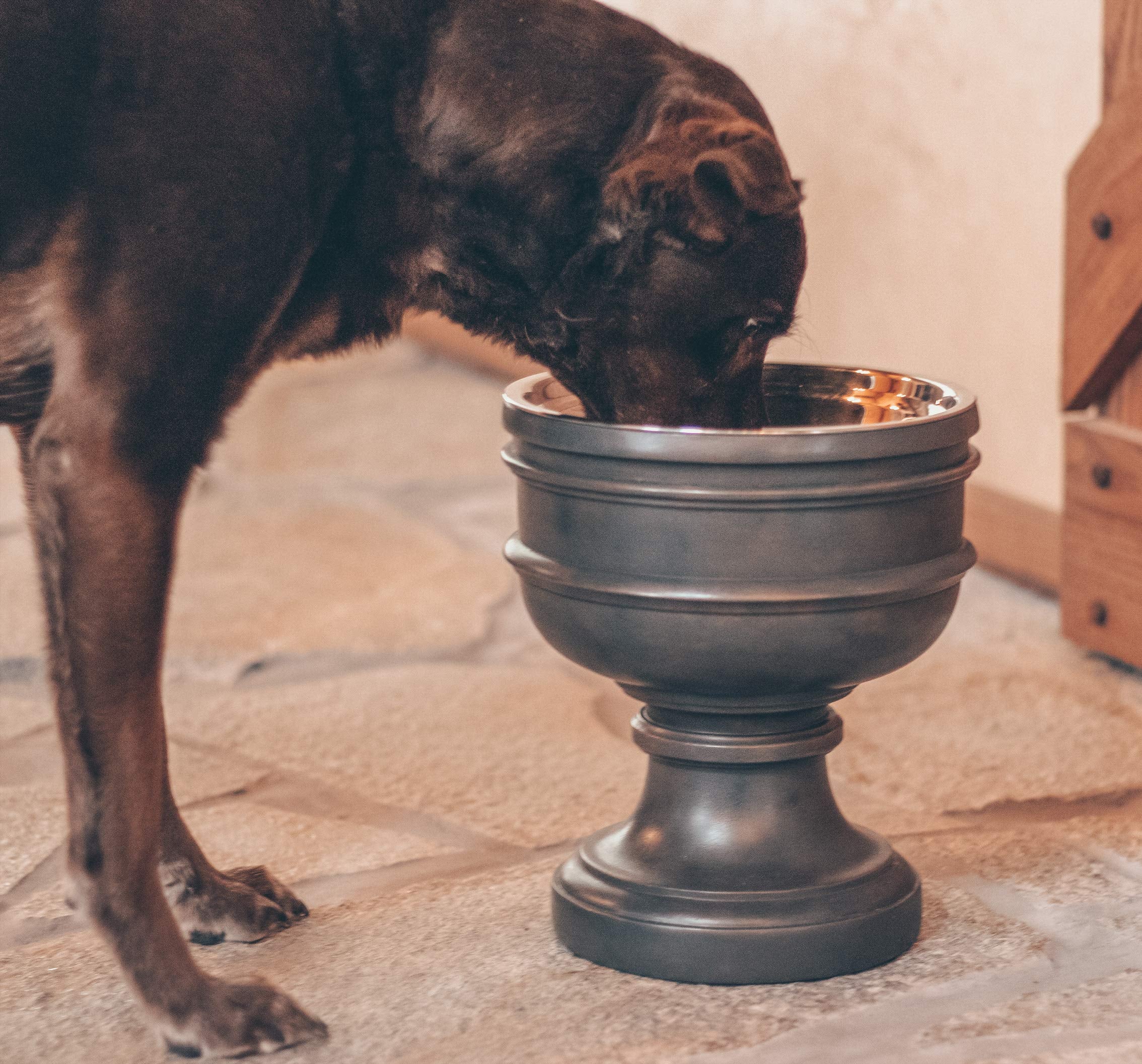 Pet Junkie Summit chalice-style design highlights decorative, pet-friendly kitchen decor