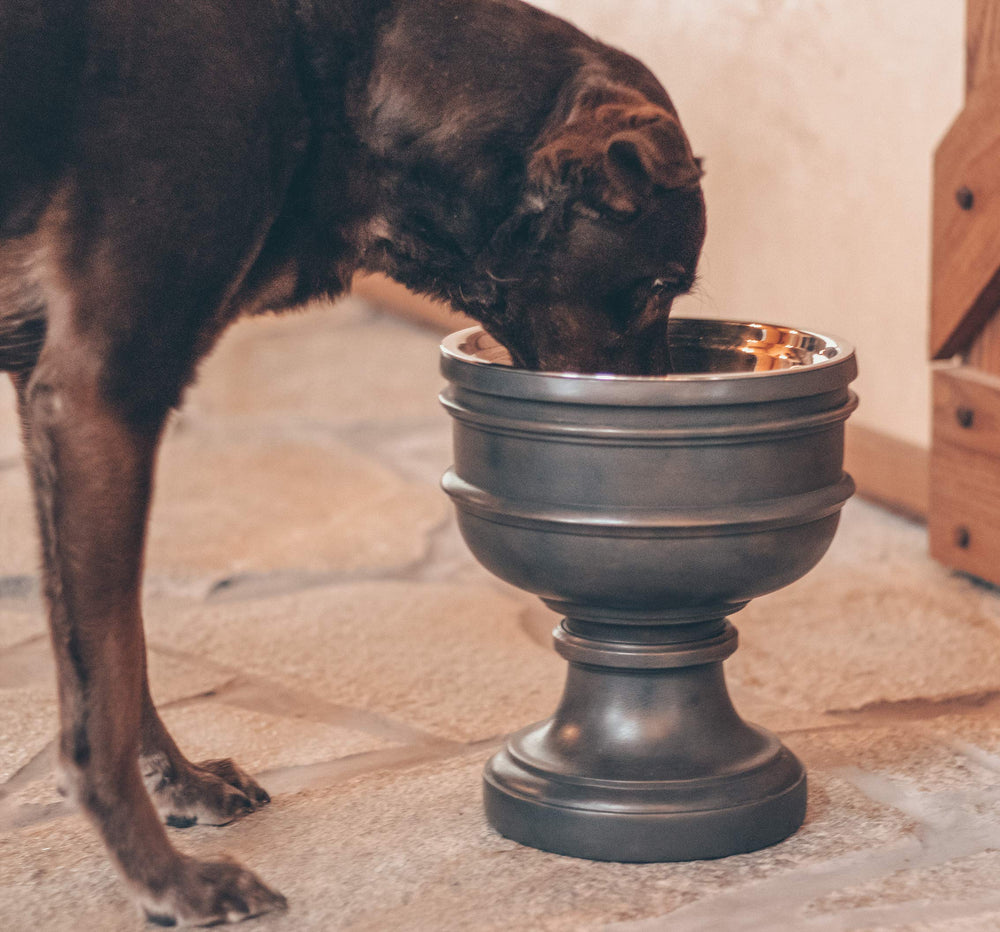 Pet Junkie Summit chalice-style design highlights decorative, pet-friendly kitchen decor