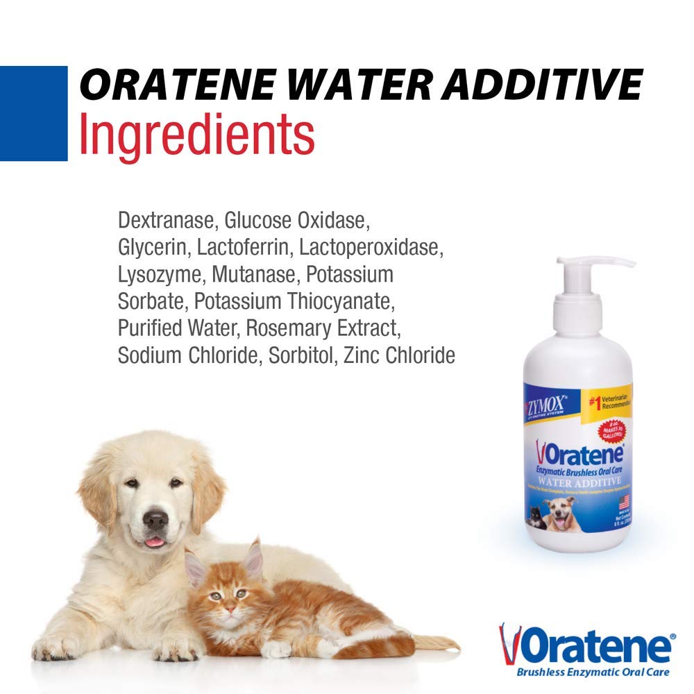 Dog and cat benefiting from ZYMOX enzymatic oral care in daily routine.