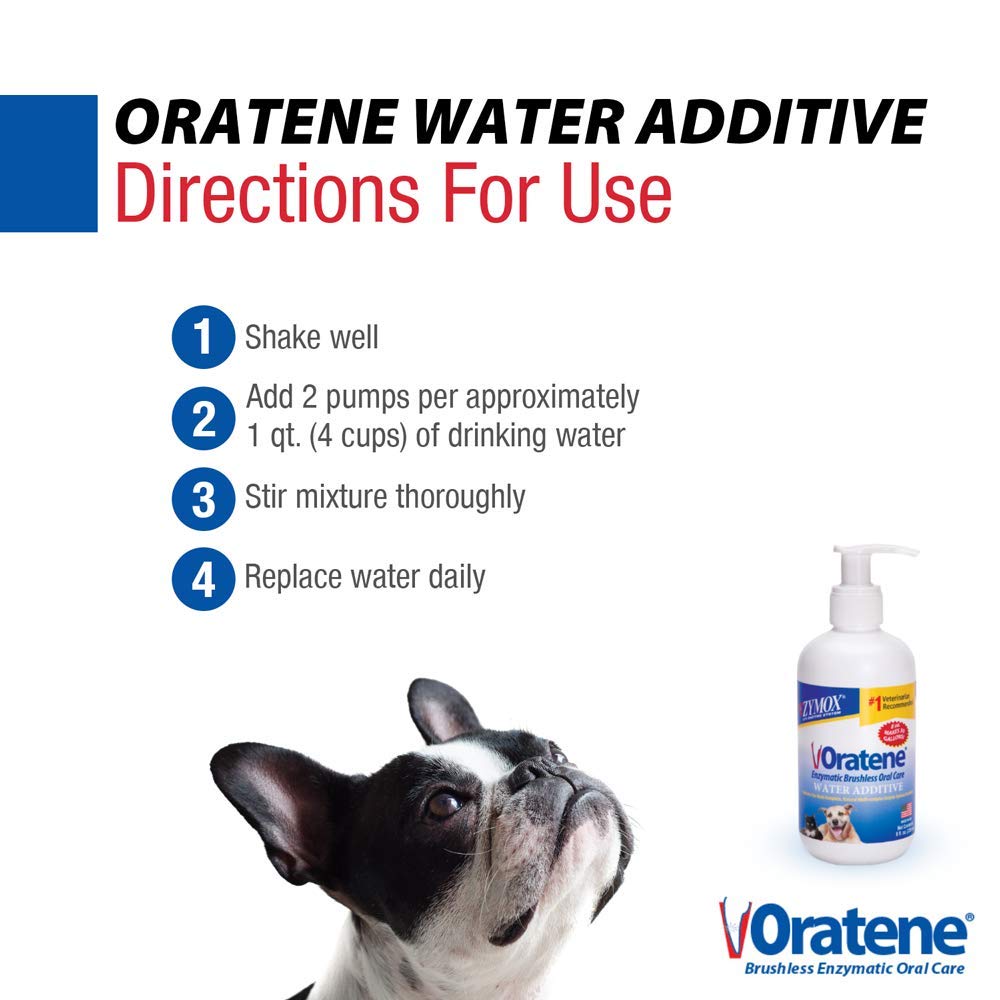 Pet enjoys water after using ZYMOX for potentially fresher breath.