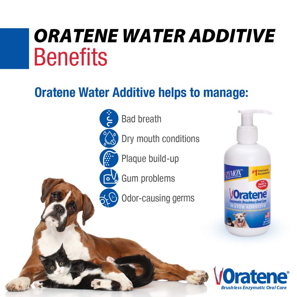 ZYMOX being added to a pet water bowl for painless dental care.