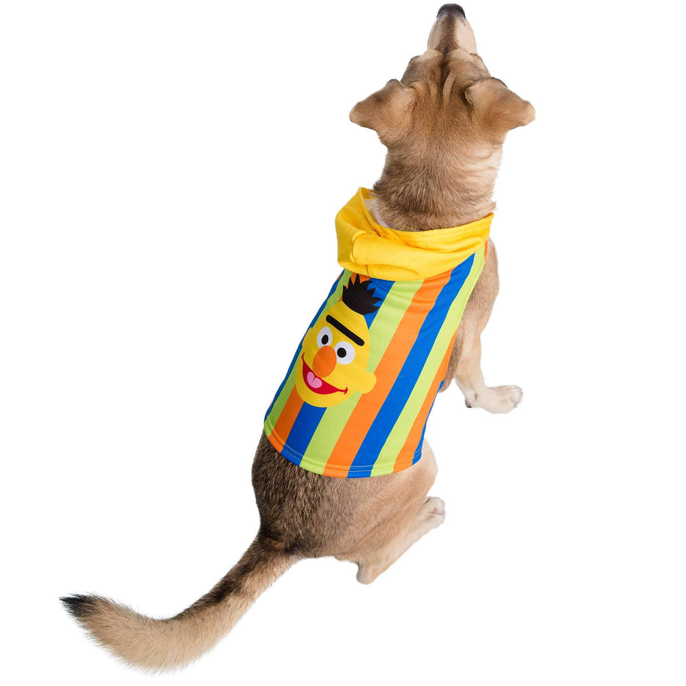 Pet Krewe Bert costume back view showing hoodie-style fit