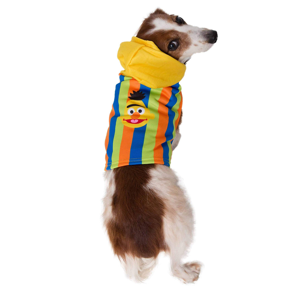 Pet Krewe Bert costume gift-ready packaging for dog lovers