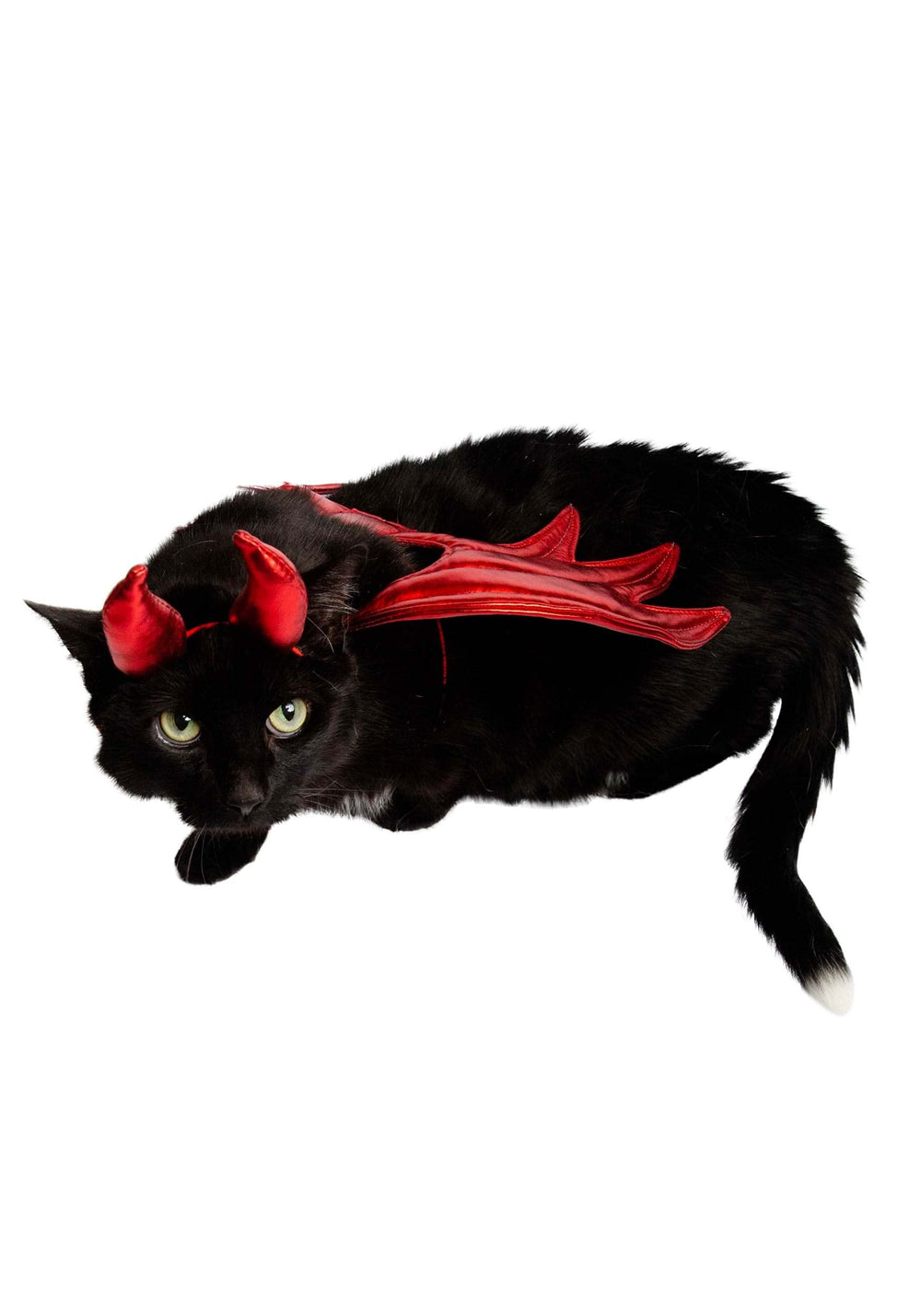 Pet Krewe Devil Costume features bold red details.