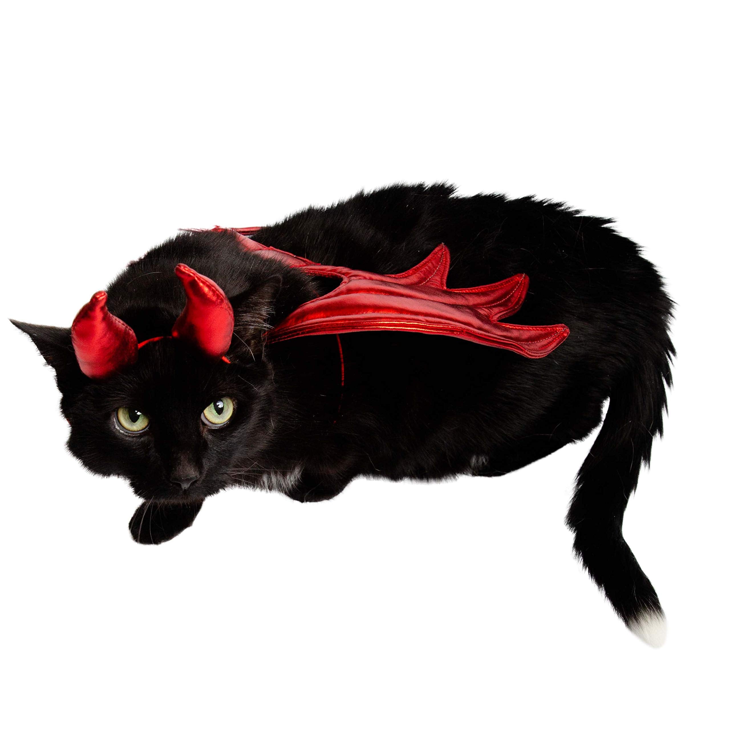 Pet Krewe Devil Costume creates a bold Christmas party look.