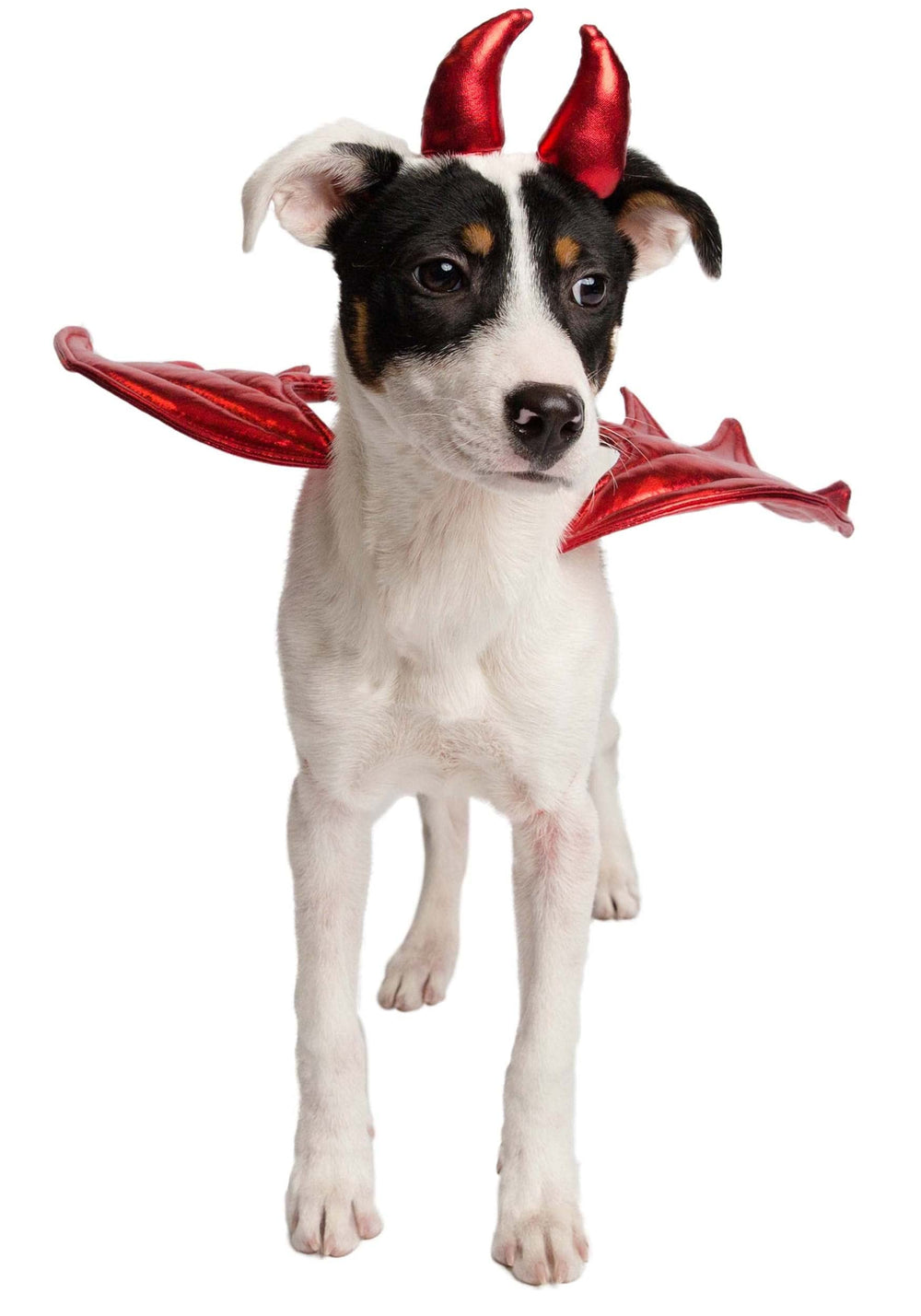 Pet Krewe Devil Costume harness-attachment enables simple festive wear.