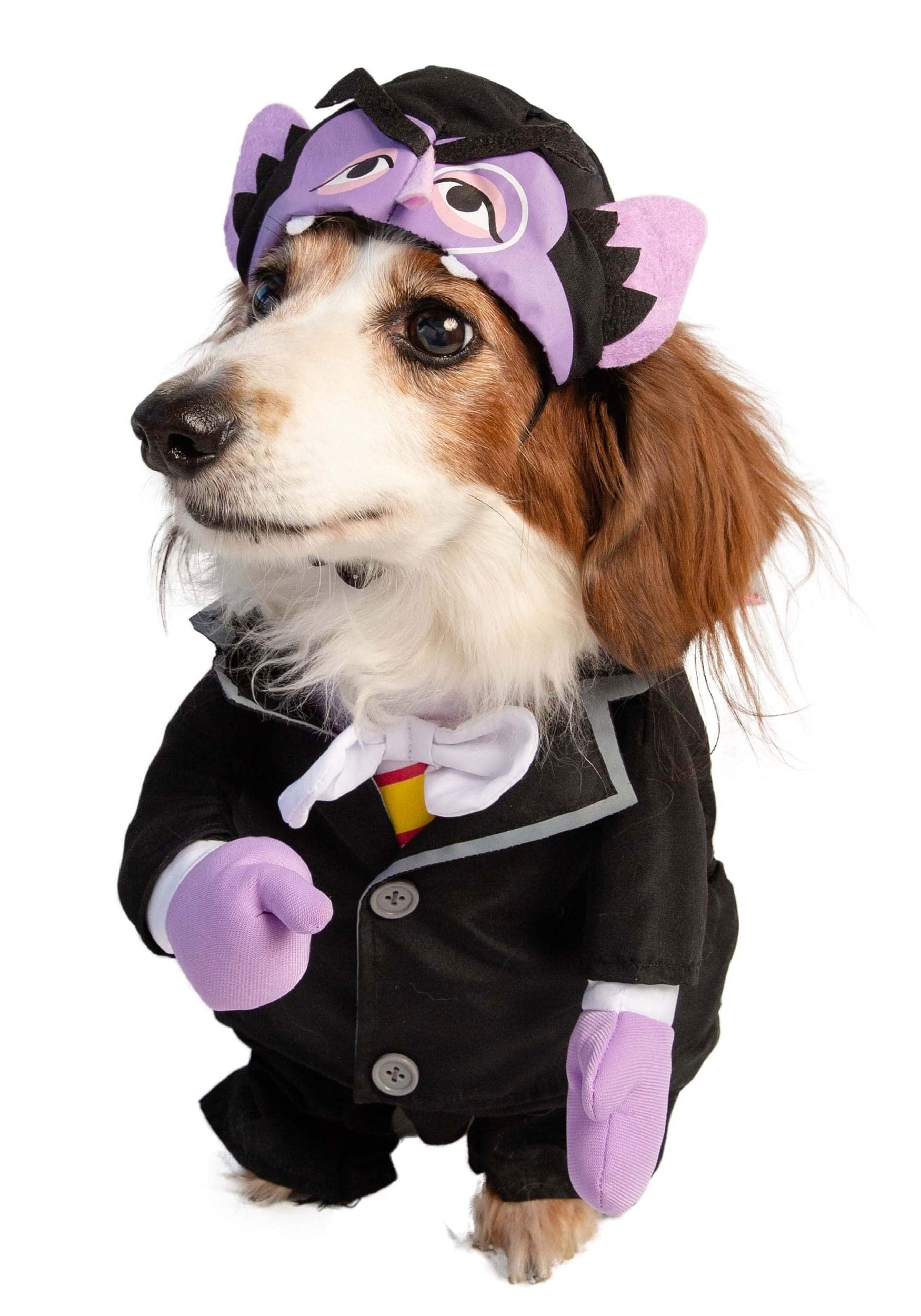 Pet Krewe The Count costume gift-packaging ready for gifting