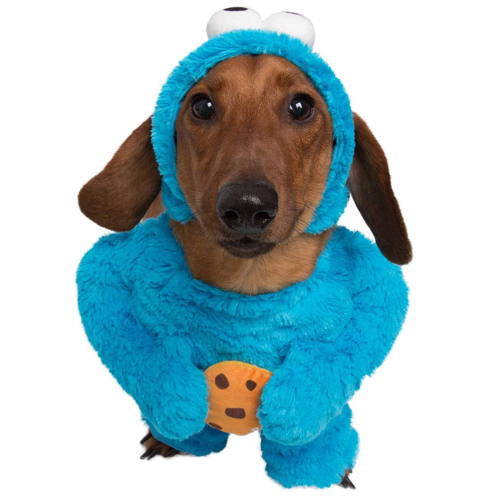 Pet Krewe Unleash The Parade Cookie Monster dog costume two-piece set for photoshoots