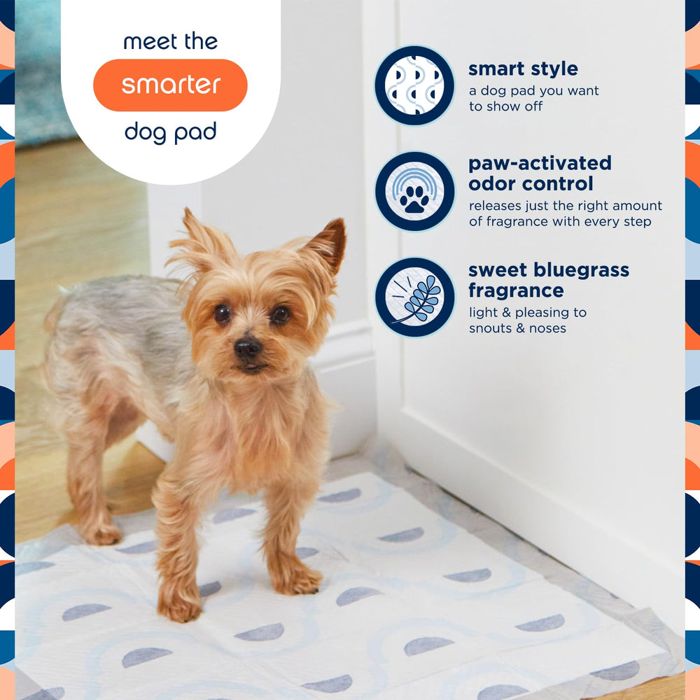 Pet Life Unlimited Smart Prints pad with probiotic odor-control to reduce lingering smells.