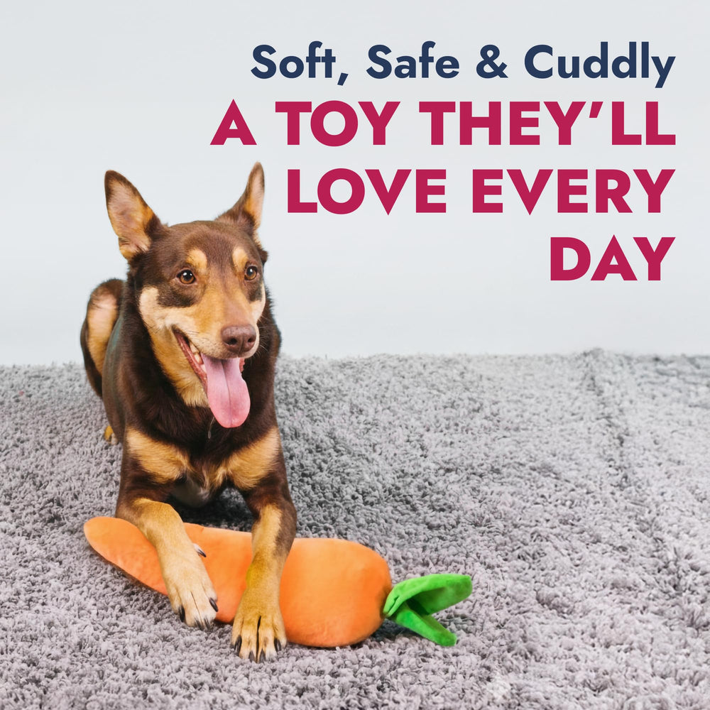 Pet Lou carrot plush toy with crinkle for engaging indoor play