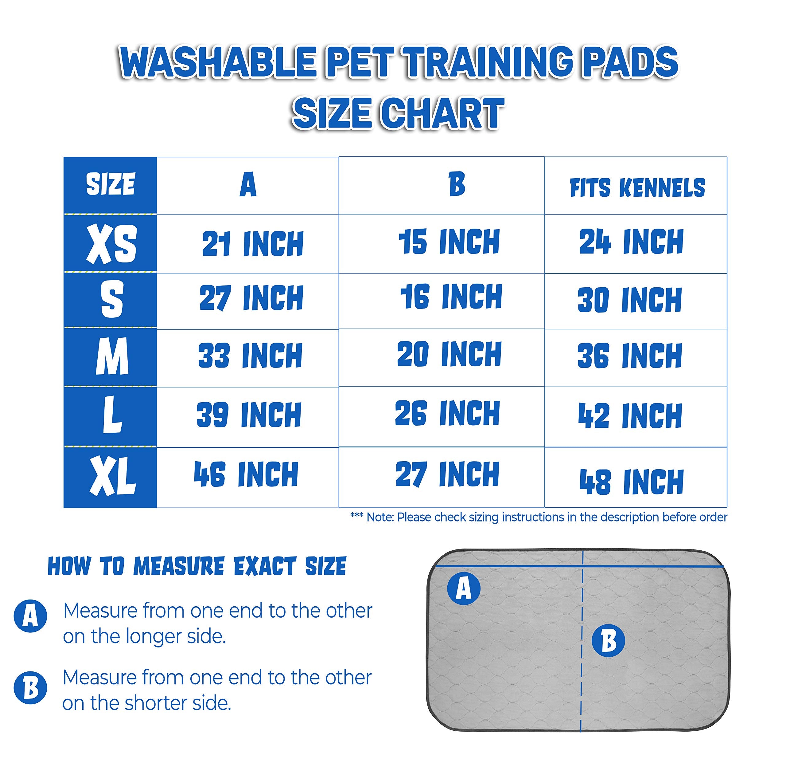 Pet Magasin puppy potty-training scene indoors