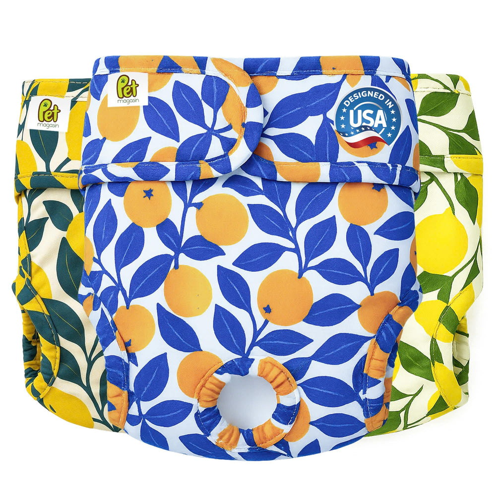 Pet Magasin super-absorbent reusable dog diapers pack-3 protect female dogs during heat