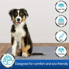 Pet Magasin training pads absorption-test highlights 4-cup capacity with odor control features.